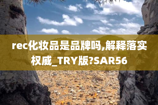 rec化妆品是品牌吗,解释落实权威_TRY版?SAR56