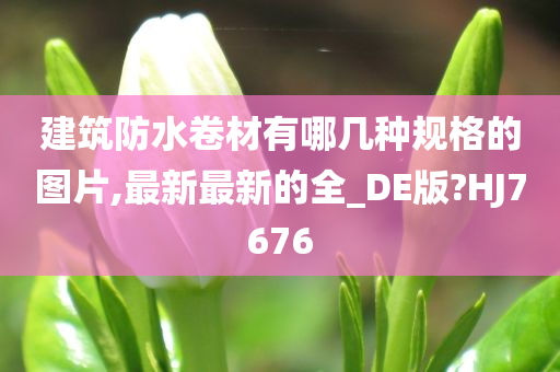 建筑防水卷材有哪几种规格的图片,最新最新的全_DE版?HJ7676