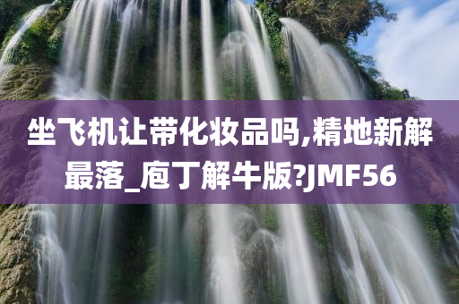 坐飞机让带化妆品吗,精地新解最落_庖丁解牛版?JMF56