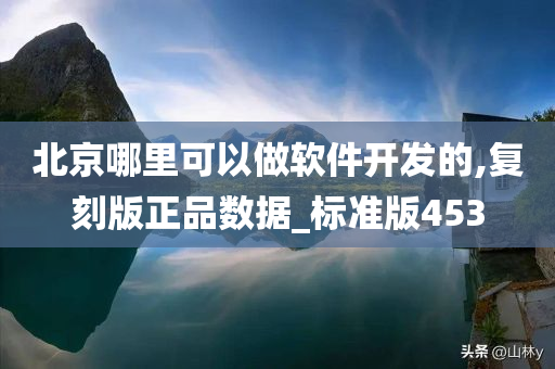 北京哪里可以做软件开发的,复刻版正品数据_标准版453