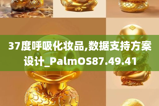 37度呼吸化妆品,数据支持方案设计_PalmOS87.49.41