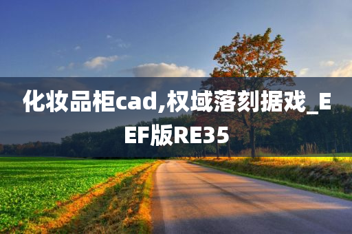 化妆品柜cad,权域落刻据戏_EEF版RE35