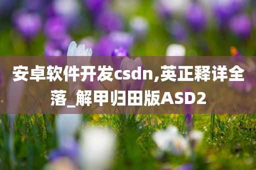 安卓软件开发csdn,英正释详全落_解甲归田版ASD2