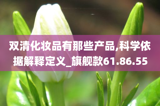 双清化妆品有那些产品,科学依据解释定义_旗舰款61.86.55