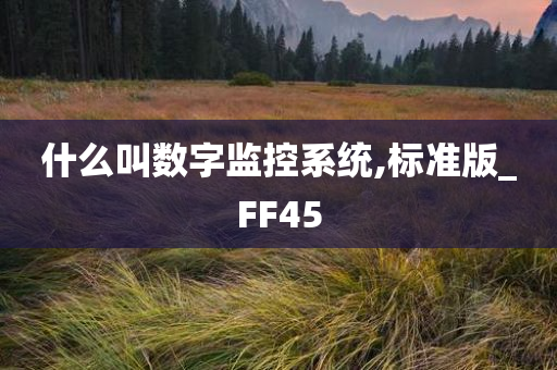 什么叫数字监控系统,标准版_FF45