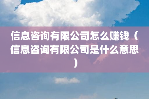 信息咨询有限公司怎么赚钱（信息咨询有限公司是什么意思）