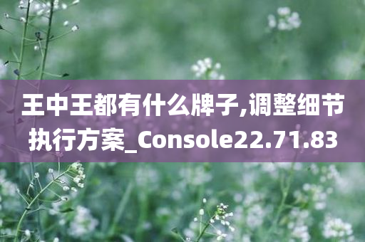 王中王都有什么牌子,调整细节执行方案_Console22.71.83