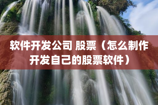 软件开发公司 股票（怎么制作开发自己的股票软件）