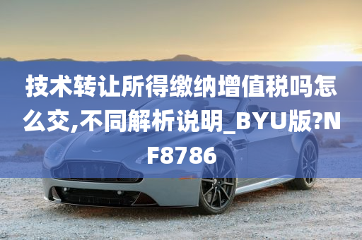 技术转让所得缴纳增值税吗怎么交,不同解析说明_BYU版?NF8786