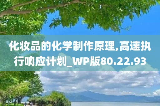 化妆品的化学制作原理,高速执行响应计划_WP版80.22.93