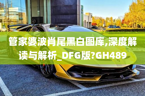 管家婆波肖尾黑白图库,深度解读与解析_DFG版?GH489