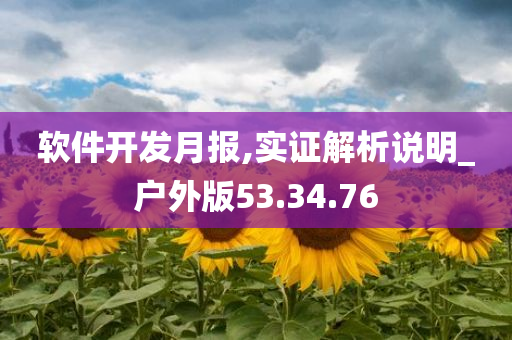 软件开发月报,实证解析说明_户外版53.34.76