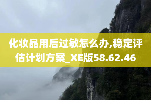 化妆品用后过敏怎么办,稳定评估计划方案_XE版58.62.46