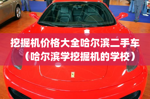 挖掘机价格大全哈尔滨二手车（哈尔滨学挖掘机的学校）