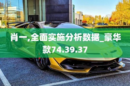 肖一,全面实施分析数据_豪华款74.39.37