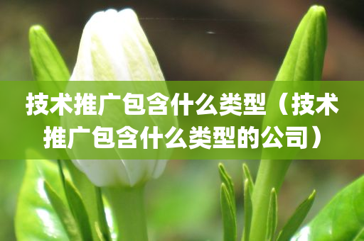 技术推广包含什么类型（技术推广包含什么类型的公司）