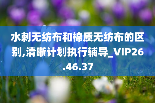 水刺无纺布和棉质无纺布的区别,清晰计划执行辅导_VIP26.46.37