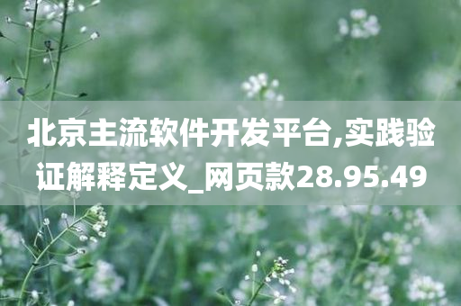 北京主流软件开发平台,实践验证解释定义_网页款28.95.49