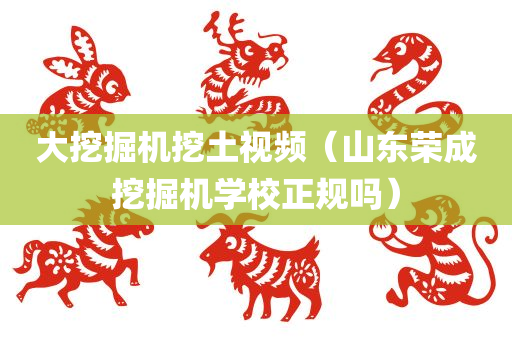 大挖掘机挖土视频（山东荣成挖掘机学校正规吗）