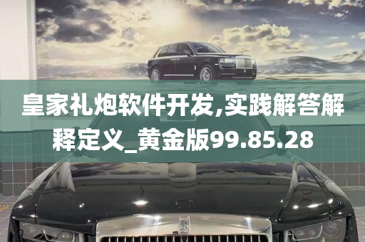 皇家礼炮软件开发,实践解答解释定义_黄金版99.85.28