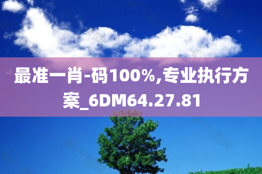 最准一肖-码100%,专业执行方案_6DM64.27.81