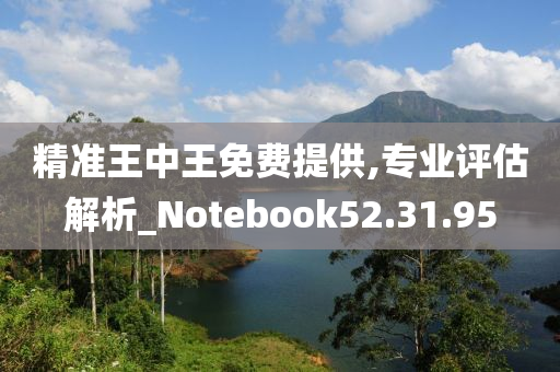 精准王中王免费提供,专业评估解析_Notebook52.31.95