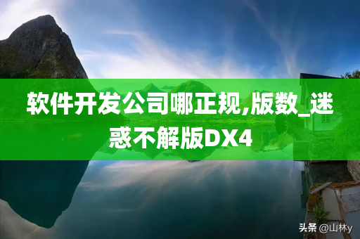 软件开发公司哪正规,版数_迷惑不解版DX4