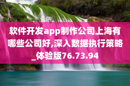 软件开发app制作公司上海有哪些公司好,深入数据执行策略_体验版76.73.94