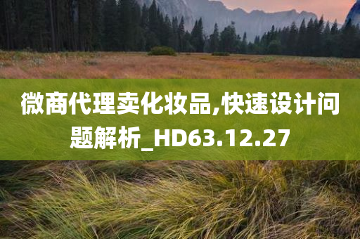 微商代理卖化妆品,快速设计问题解析_HD63.12.27