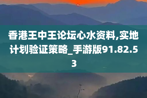 香港王中王论坛心水资料,实地计划验证策略_手游版91.82.53