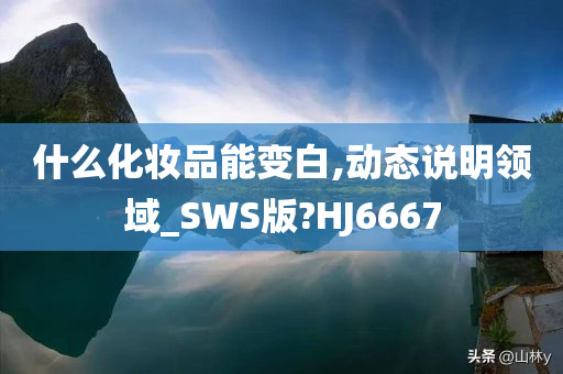 什么化妆品能变白,动态说明领域_SWS版?HJ6667