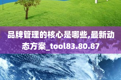 品牌管理的核心是哪些,最新动态方案_tool83.80.87