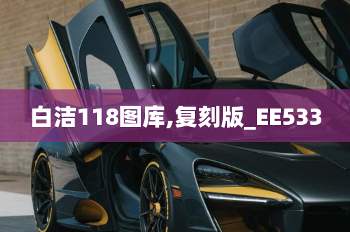 白洁118图库,复刻版_EE533