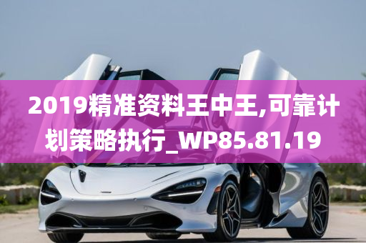 2019精准资料王中王,可靠计划策略执行_WP85.81.19