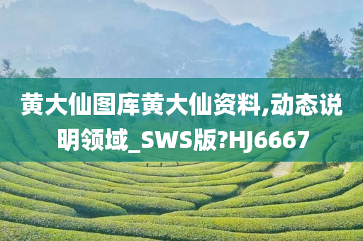 黄大仙图库黄大仙资料,动态说明领域_SWS版?HJ6667