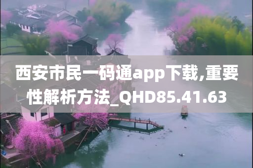 西安市民一码通app下载,重要性解析方法_QHD85.41.63