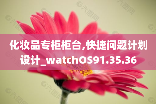 化妆品专柜柜台,快捷问题计划设计_watchOS91.35.36