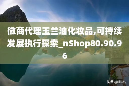 微商代理玉兰油化妆品,可持续发展执行探索_nShop80.90.96