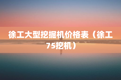 徐工大型挖掘机价格表（徐工75挖机）