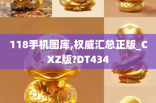 118手机图库,权威汇总正版_CXZ版?DT434