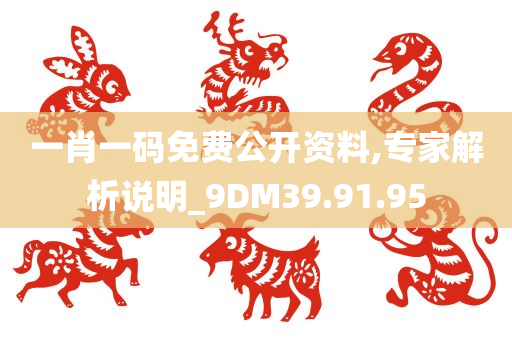 一肖一码免费公开资料,专家解析说明_9DM39.91.95