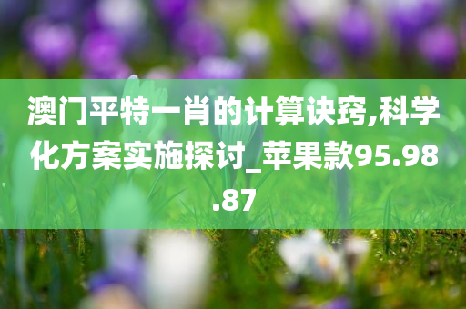 澳门平特一肖的计算诀窍,科学化方案实施探讨_苹果款95.98.87