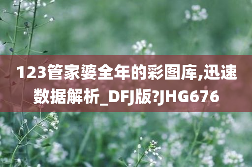 123管家婆全年的彩图库,迅速数据解析_DFJ版?JHG676