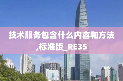 技术服务包含什么内容和方法,标准版_RE35