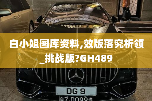 白小姐图库资料,效版落究析领_挑战版?GH489