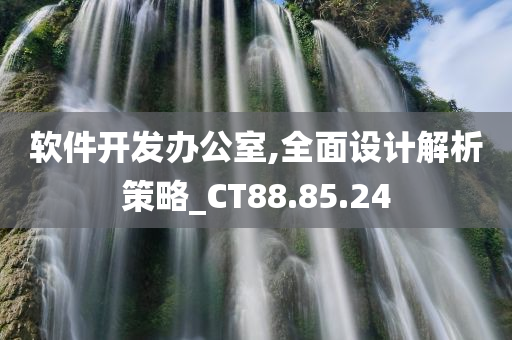 软件开发办公室,全面设计解析策略_CT88.85.24