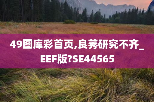 49图库彩首页,良莠研究不齐_EEF版?SE44565