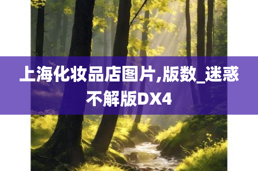 上海化妆品店图片,版数_迷惑不解版DX4