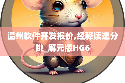 温州软件开发报价,经释读速分挑_解元版HG6