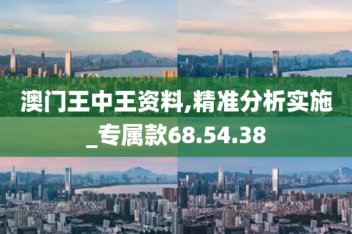 澳门王中王资料,精准分析实施_专属款68.54.38